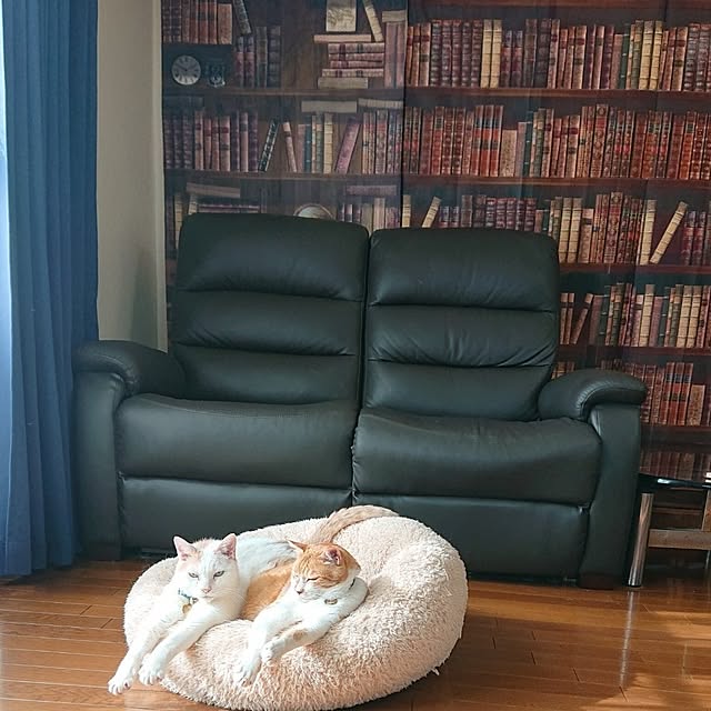 NOAHさんの部屋