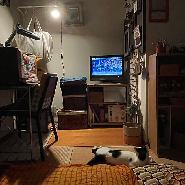 nobikoさんの実例写真