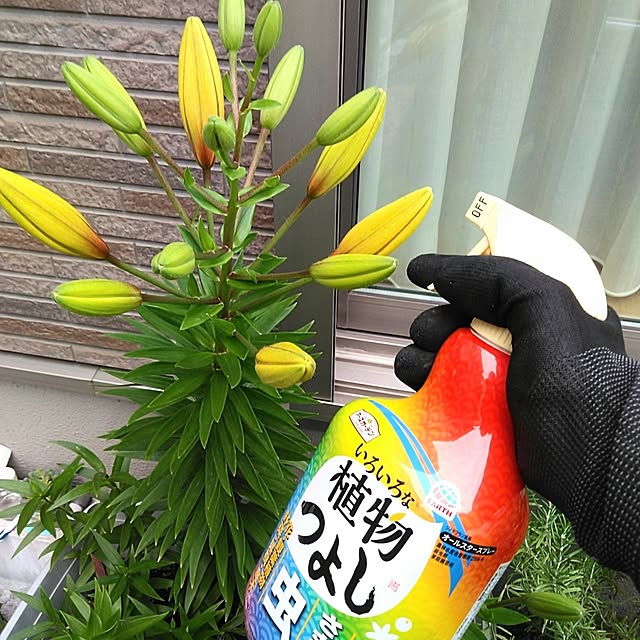 h.t.さんの実例写真