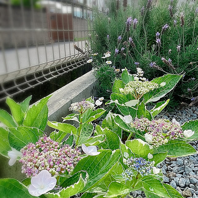 sumichi.f2021さんの実例写真
