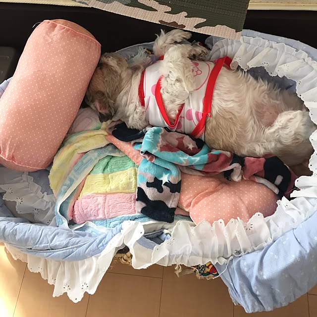 emiさんの実例写真