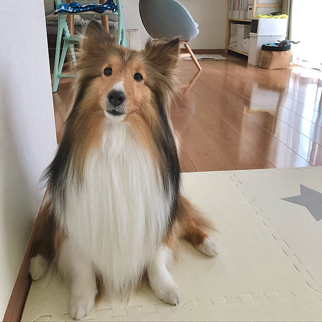 yomokuruさんの実例写真