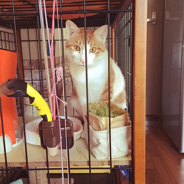 ennaさんの実例写真