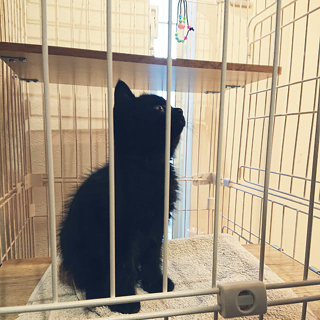 akeさんの実例写真