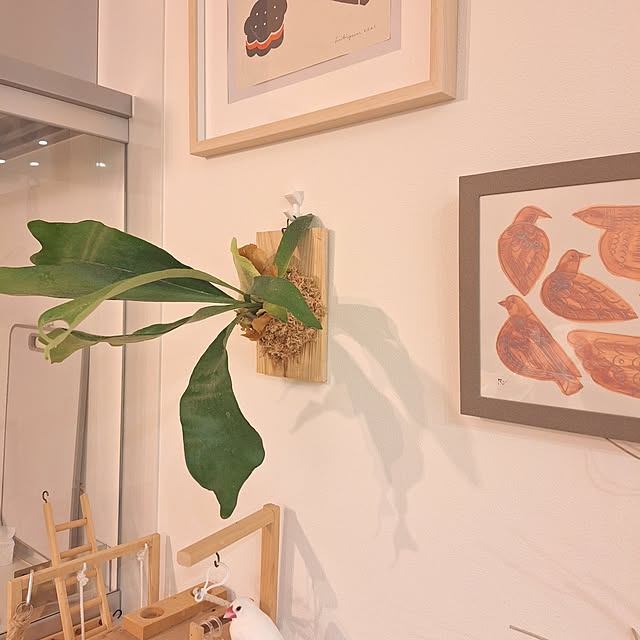 otokiさんの部屋