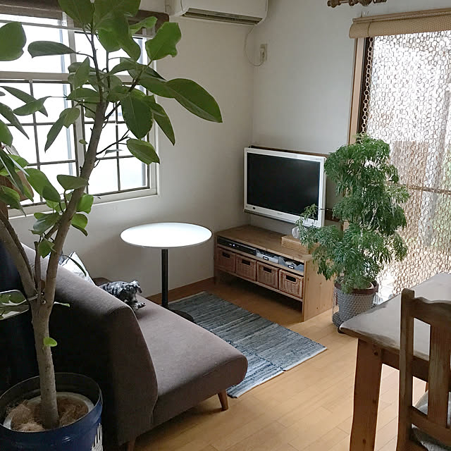 nomacoさんの実例写真