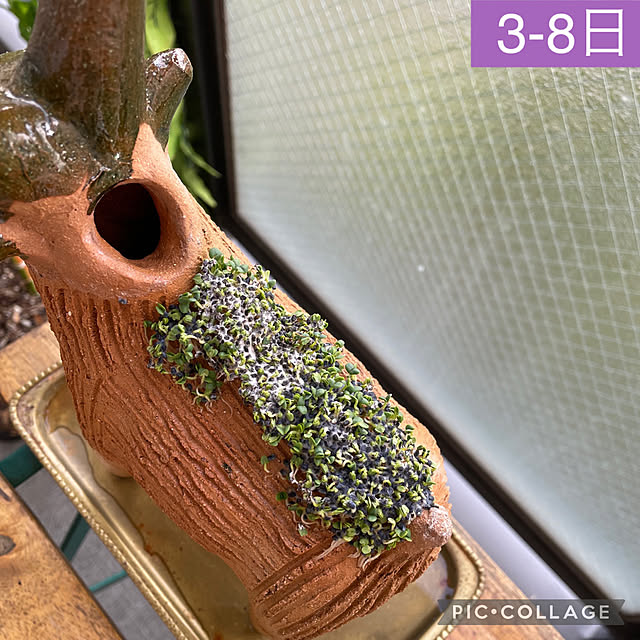 aureaさんの実例写真