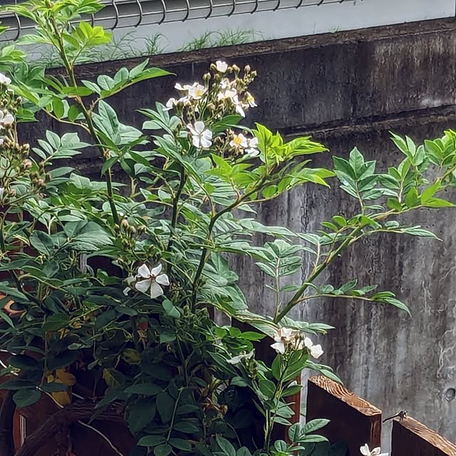 kazuさんの部屋