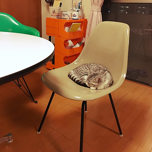 Shojiさんの実例写真