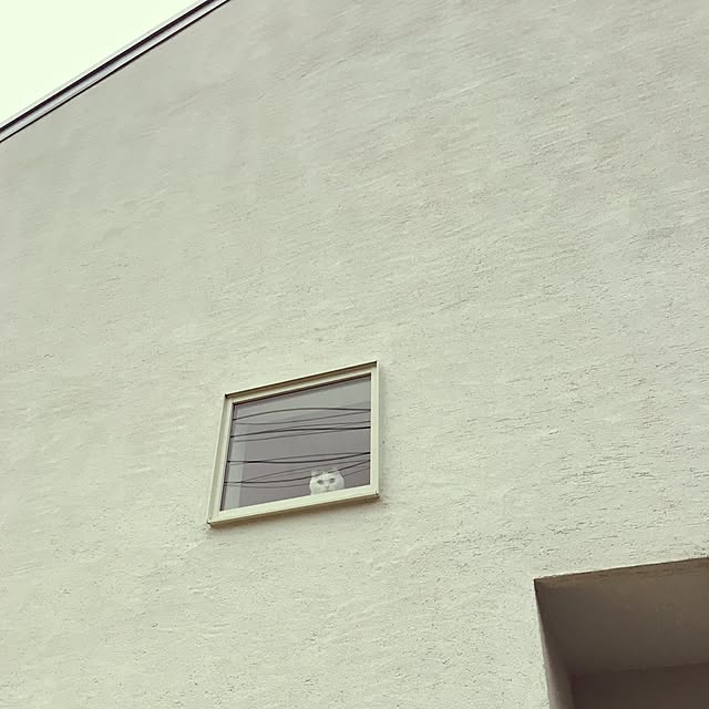 necodakakarichoさんの実例写真
