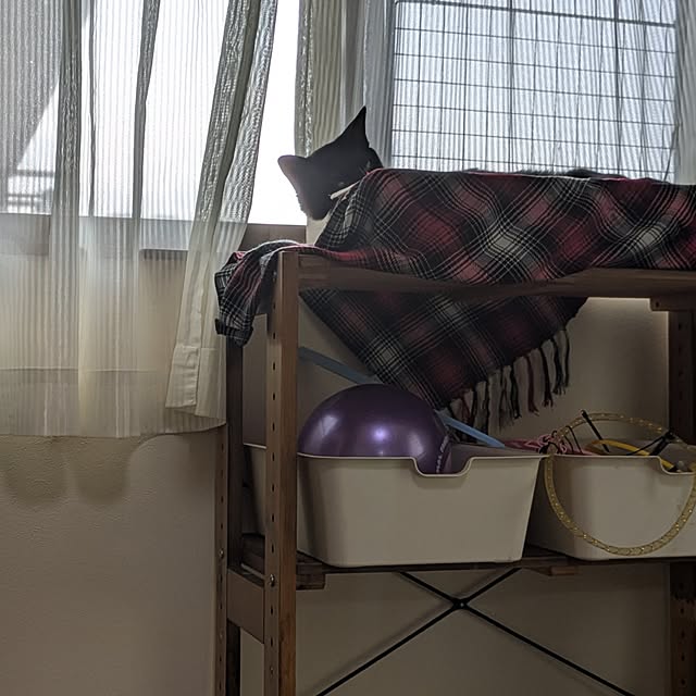 asaさんの実例写真