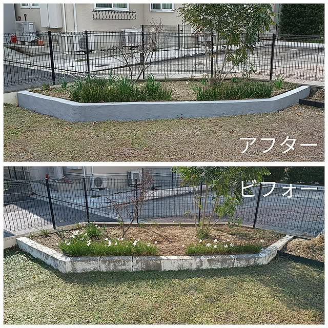 soyokoさんの実例写真