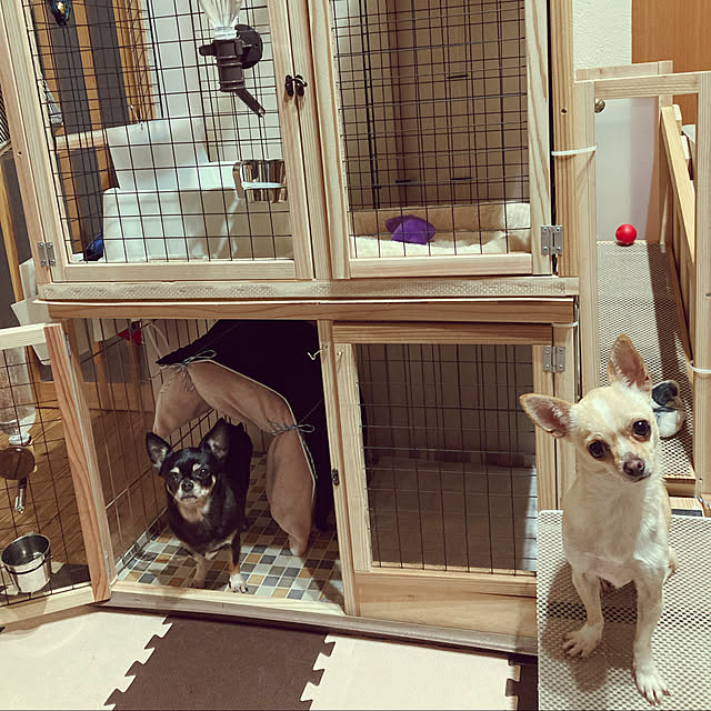 suzuさんの実例写真