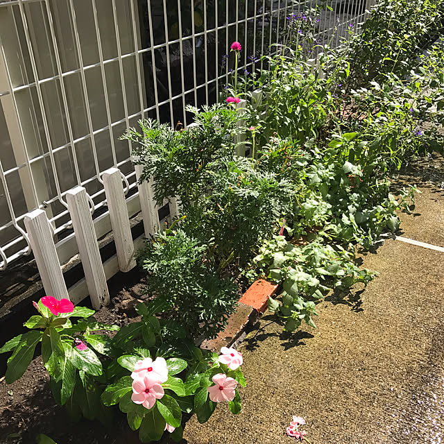 ma-chicoさんの実例写真