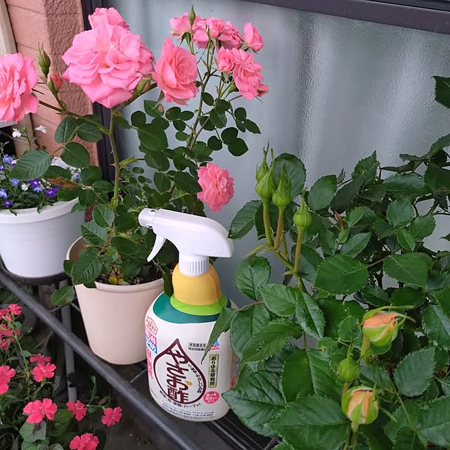 NOAHさんの実例写真