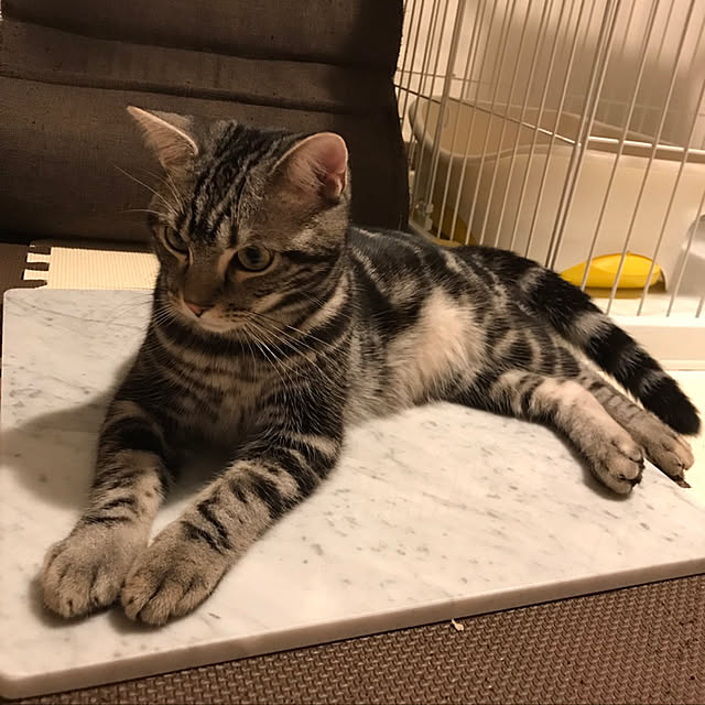 KotarouKunさんの実例写真