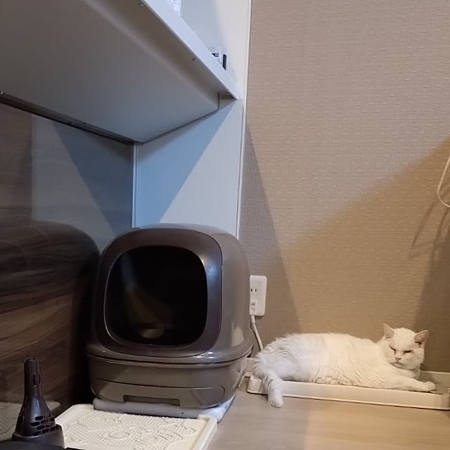 NOAHさんの部屋