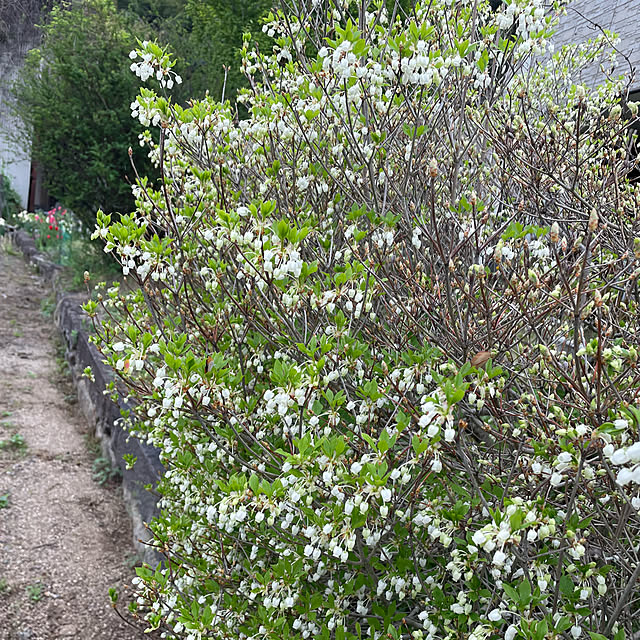 natsumiさんの部屋