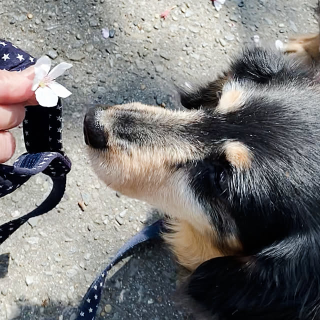 ohanaさんの部屋