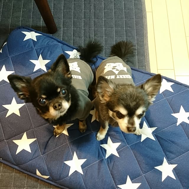 lovepeaceさんの実例写真