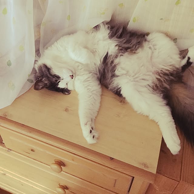 soraさんの実例写真