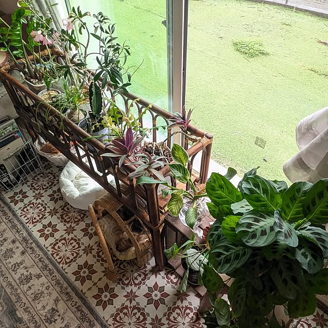 akiさんの部屋