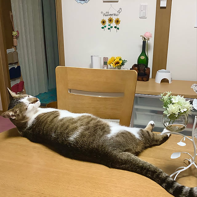 haruminさんの実例写真