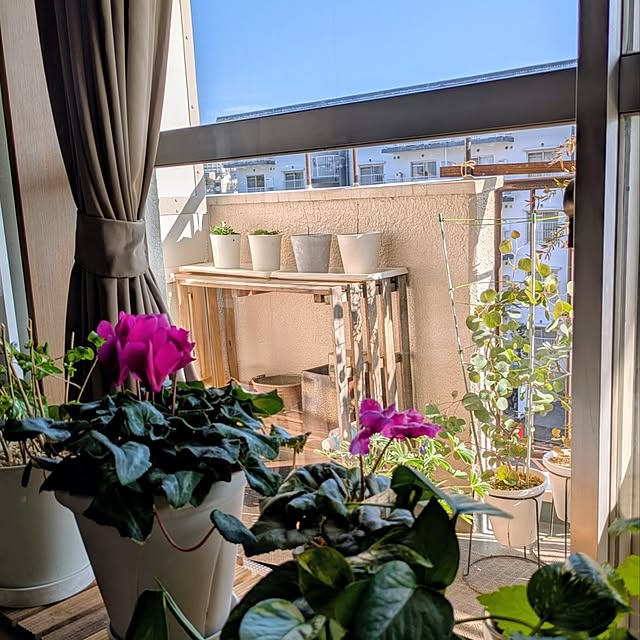 mi-saさんの実例写真