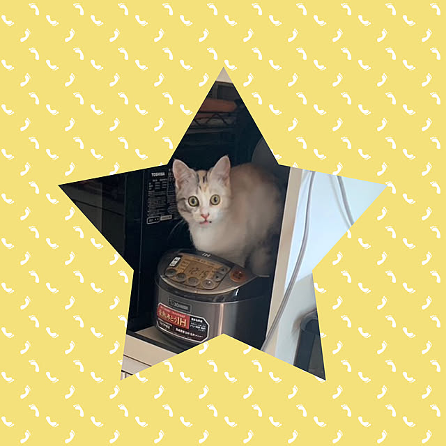 hansho.sさんの部屋