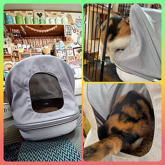 nanaさんの実例写真
