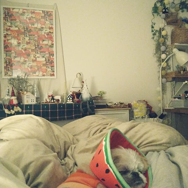 yukagomaさんの実例写真