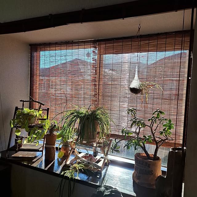 midoriさんの部屋