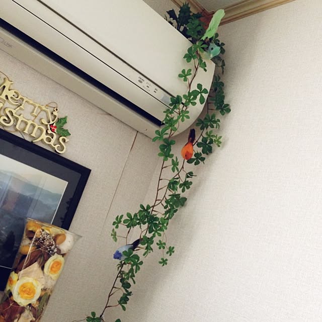 Dianeさんの実例写真