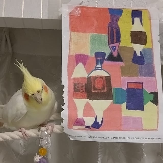 toratanさんの実例写真