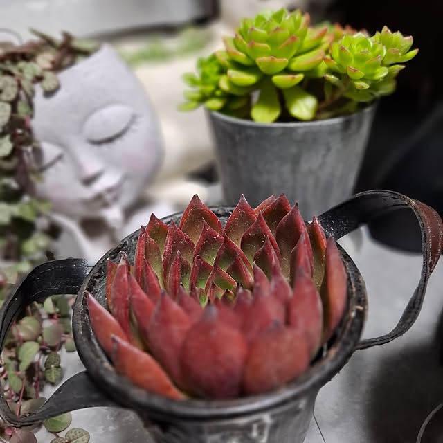 noaさんの実例写真