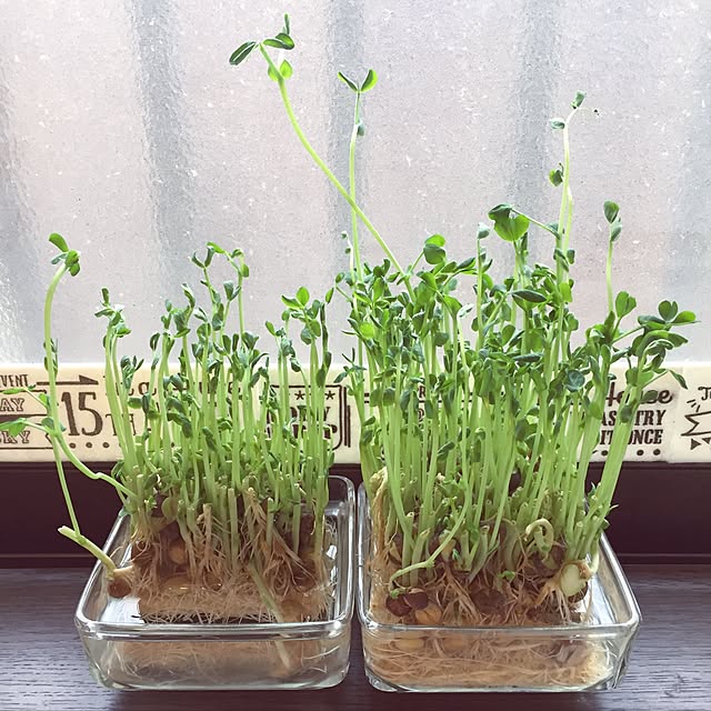 meiさんの実例写真