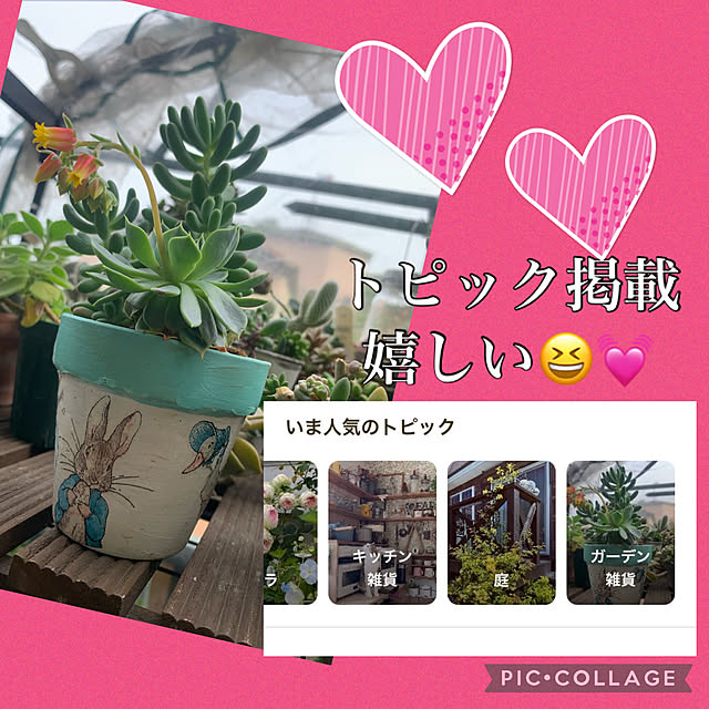 Aqettyさんの実例写真