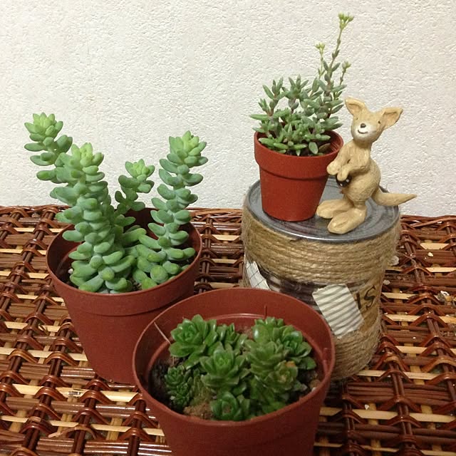 sayahahaさんの実例写真
