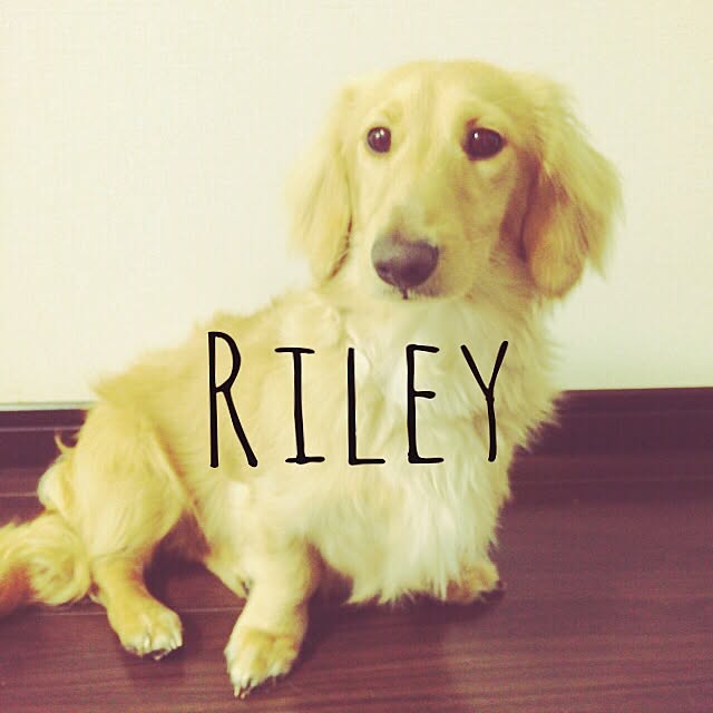 -Riley-mama.-さんの実例写真