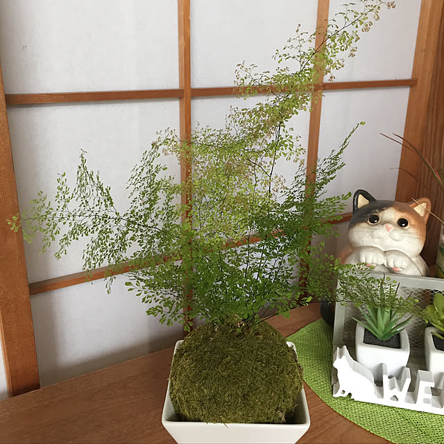 yocchiさんの実例写真
