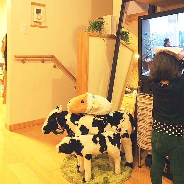 makoriさんの実例写真
