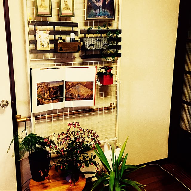 miyapp.hiroppさんの実例写真