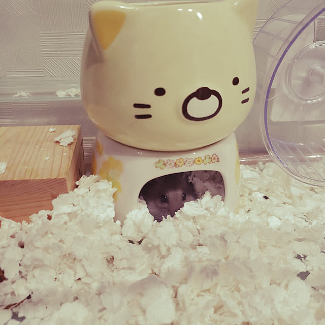BAZさんの実例写真