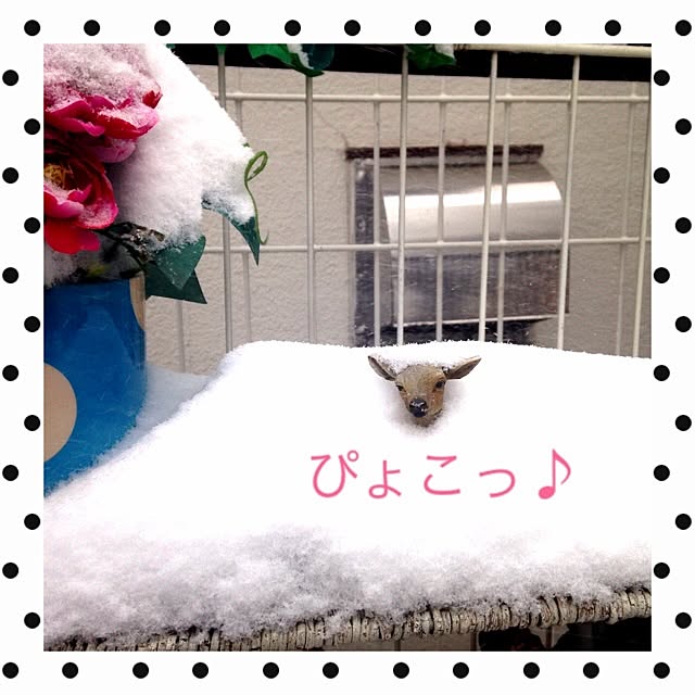 manaさんの実例写真