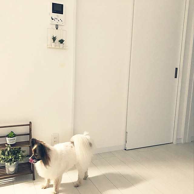 hiroさんの実例写真