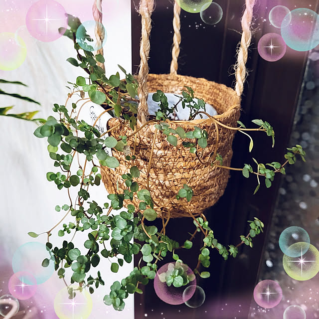 mimi828さんの実例写真