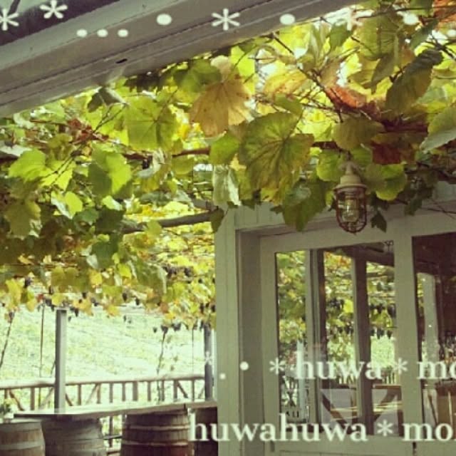 huwahuwa.mokumokuさんの実例写真