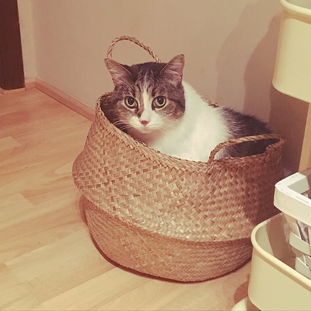Keiさんの実例写真