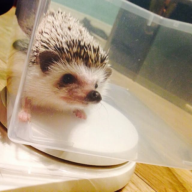 ctaさんの実例写真