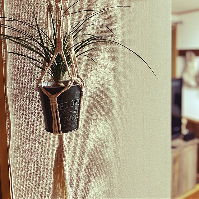 ハンドメイド/観葉植物のある暮らし/観葉植物/マクラメのある暮らし/マクラメプラントハンガー...などのインテリア実例 - 2022-09-10 19:02:18